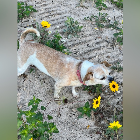 Meet your Posher - Picture 12 of 12